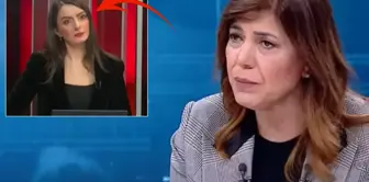 Meral Danış Beştaş's analogy for Öcalan surprised the host as well.