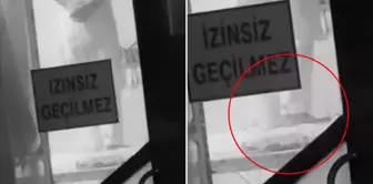 Он месил тесто ногами.