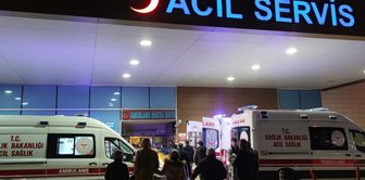 Response from the governorship regarding claims of a surge in rabies cases in Istanbul.