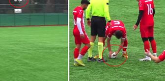 An unprecedented event on the fields! A heart massage revived the animal hit by the ball.