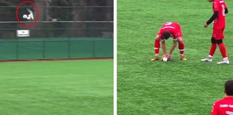 Sad news from the seagull hit by the ball during the match.