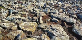 A weapons cache was seized under volcanic basalt stones in Şanlıurfa: 8 arrests.
