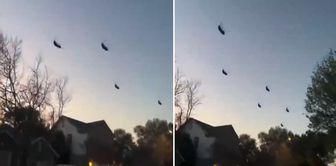 Что происходит? Записанное в США видео вызвало большой интерес.