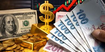 The dollar has reached a historic peak against the Turkish lira.