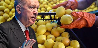 The price had exceeded 100 lira, Erdoğan intervened! New decision on lemon imports.