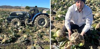 In the market, it's 70 lira, but hundreds of thousands have rotted in the fields! There is a call from the producers.