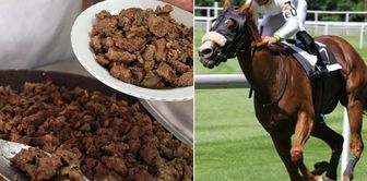 The owner of the horse that was slaughtered is also punished! Irresponsibility is not forgiven.