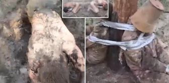 What have Putin's commanders done! Scandalous images from the Russian army.