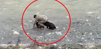 The main character is a police officer: The footage shot in Siirt has made headlines in Turkey.