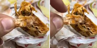This is another level! The thing that comes out of the wrap is incredible.