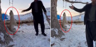 He hanged and killed his dog, which he claimed ate too much.