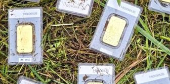 A municipal employee found bars of gold! If the owner does not come forward, it will be distributed to the public.