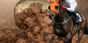 New scandal involving the company that feeds racehorses to citizens.