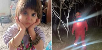 Four-year-old Rabi got lost while playing in front of his house.