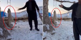 The person who hanged and killed his dog because it ate too much was arrested.