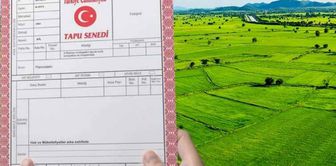 في قريته، خبر سيء لمن لديهم منازل في حدائقهم! ستنهار واحدة تلو الأخرى.