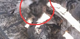 تم الادعاء بأنه تم العثور على جزء من جسم جندي أمريكي في الطائرة العسكرية التي أسقطت من إيران.
