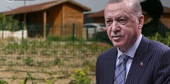 What will happen to hobby gardens? Here are Erdoğan's instructions for the controversial regulation.