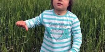 Leyla's mother, who did not attend the hearings, will be forcibly brought in the case of Leyla's death.