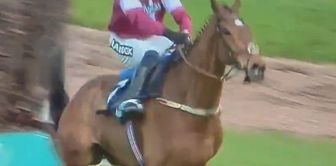 The painful end of a racehorse that broke its back while jumping a hurdle.