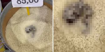 Cat feces were found in rice sold in the open, and the market was fined 52,000 TL.