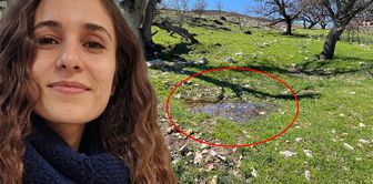 هل دفنت جوليستان دوكو هنا؟ الفجوة الشبيهة بالقبر في التقرير