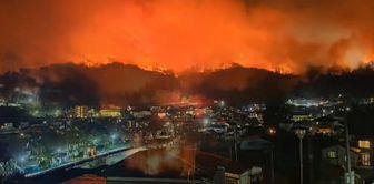 A forest fire in Iwate Prefecture, Japan