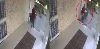 Возмутительная сцена у входа в многоквартирный дом: удовлетворял себя ручкой от швабры
