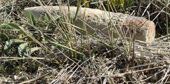 A citizen in Ankara found an unexploded artillery shell while searching for mushrooms.