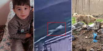 Footage of the horror in which 5-year-old Hamza lost his life to a dog has emerged.