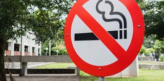 Germany bans disposable e-cigarettes.