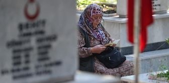 تعديل جديد لعائلات الشهداء! سيتم رفع الرواتب إلى حدين أدنى للأجور