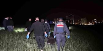 Suspect who stabbed elderly man to death in the field has been caught