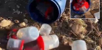 В Шанлыурфе на кладбище в пластиковой бочке найдены 21 человеческий зародыш