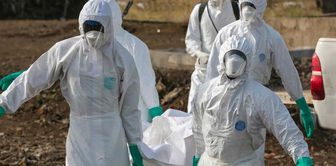 The WHO has declared a global emergency! There is neither a cure nor a vaccine for the new outbreak.