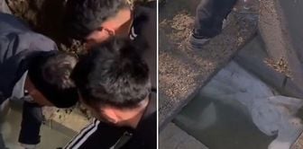 Image from Turkey! A strange incident at the cemetery: They removed the body from where it was buried.