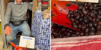 Килограмм оливок продается за 50 турецких лир