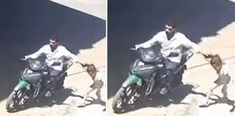 في غازي عنتاب، تم اعتقال والد بتهمة إيذاء ابنته.