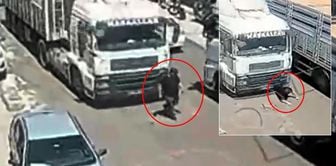 Accident like murder! The tragic real estate agent's death moment captured second by second on camera