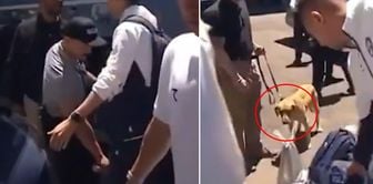 Historic scandal before the World Cup! They searched the National Team with narcotic dogs