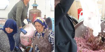 Isparta's pink treasure! It finds buyers at 650 thousand liras per kilo
