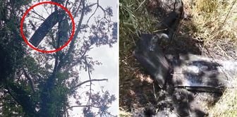 إنذار طائرات بدون طيار في مدينتين! إحداها سقطت على منزل، والأخرى عثر عليها مواطنون