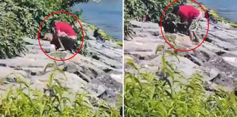 The person who subjected a dog to violence on the Avcılar coast has been taken into custody.