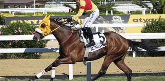 Huge prize for the owner of the horse that won the Gazi Race! They won't find a place to put the money.