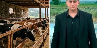 A person who was seriously injured by a cattle strike in Iğdır has died.