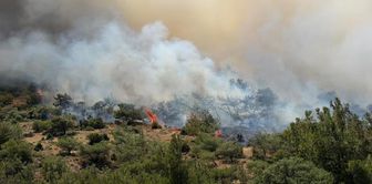 Struggle against flames in Dikili! Started in agricultural land, spread to maquis.
