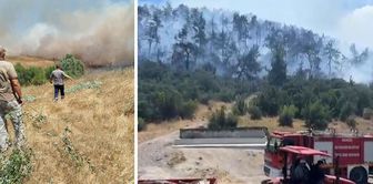 Fires occurred one after another at 3 different points in Balıkesir.