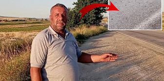 Thousands of frogs invaded the highway in Tokat