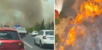 A fire broke out in a forested area in the Akhisar district of Manisa.