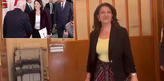 One-sentence statement from Pervin Buldan after meeting with Bahçeli